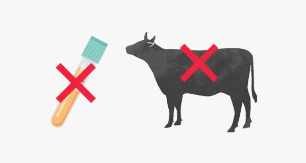化学薬品と牛血清を使用しない