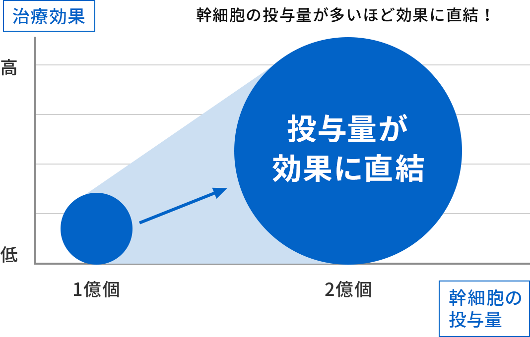 幹細胞の投与量が多いほど効果に直結！