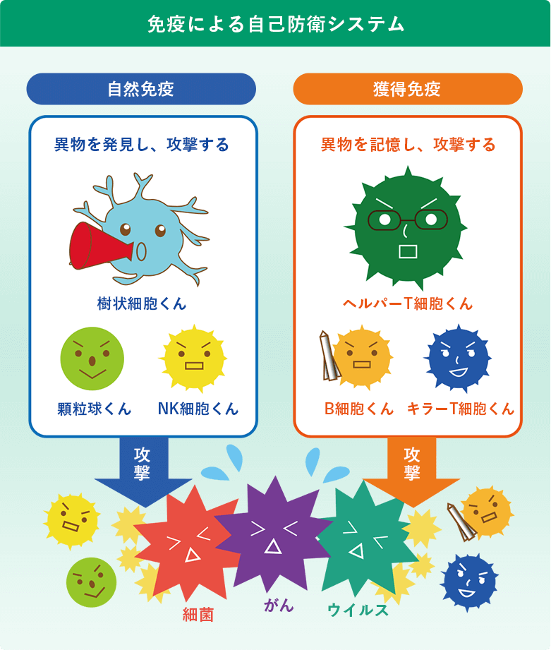 免疫による自己防衛システム