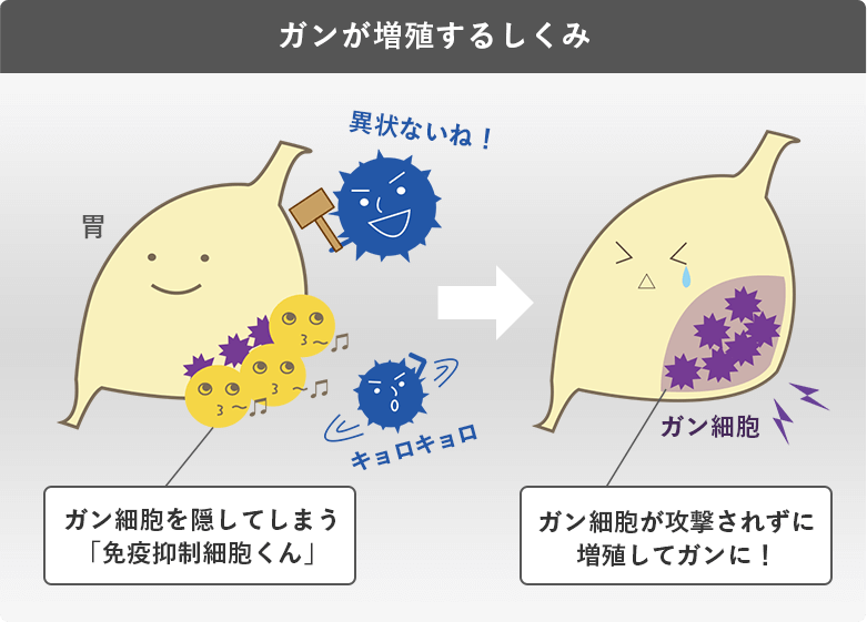 ガンが増殖するしくみ