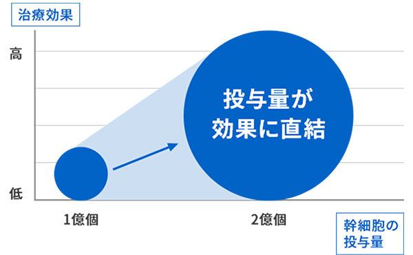 幹細胞の投与量２億個