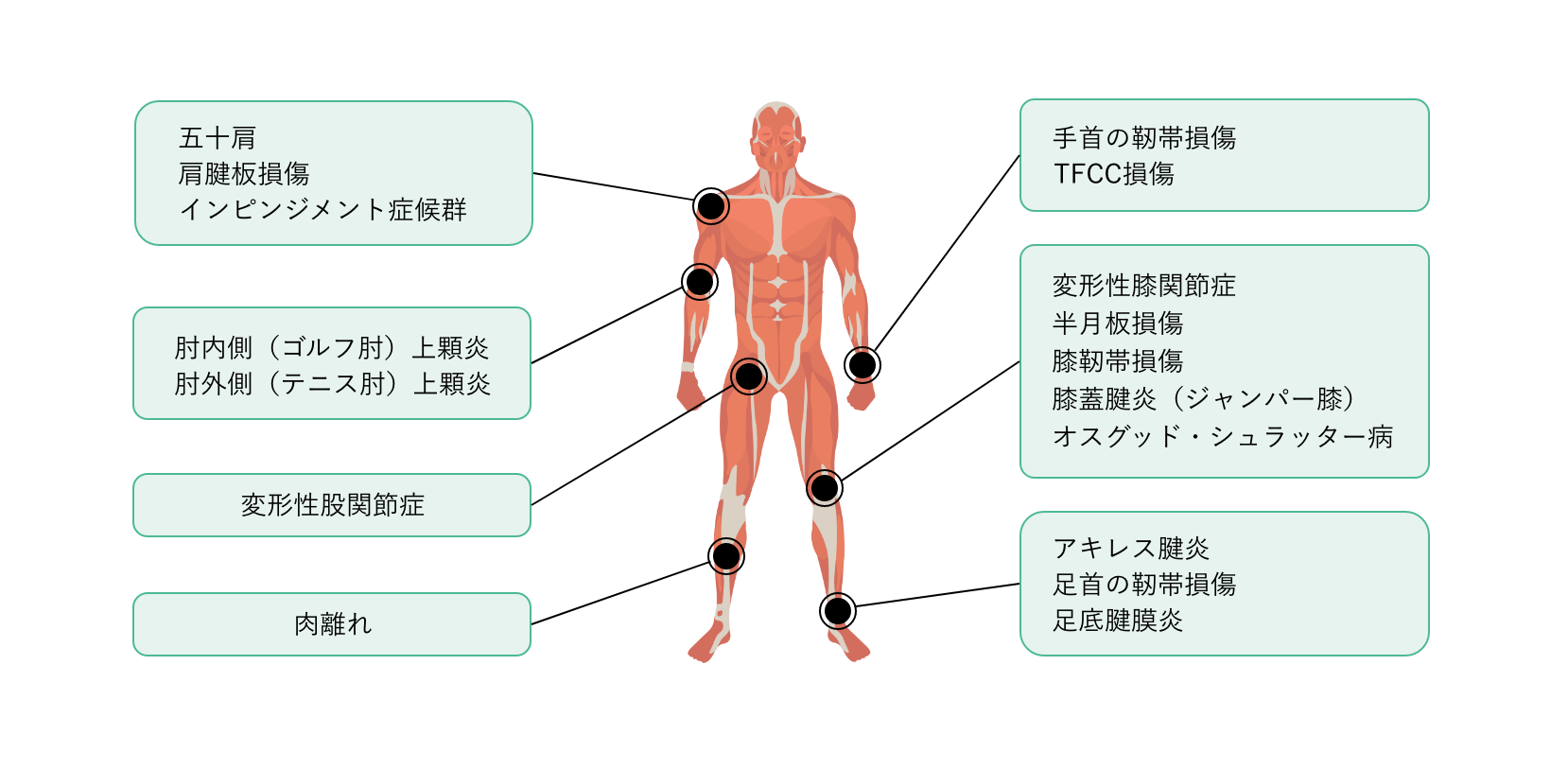 PRP療法が適応となる疾患の具体例