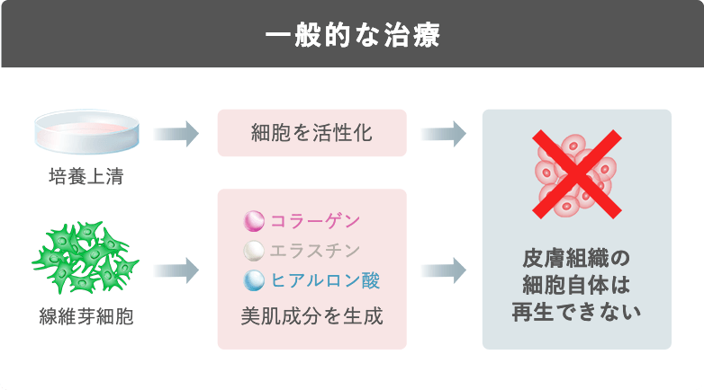 一般的な治療：皮膚組織の細胞自体は再生できない