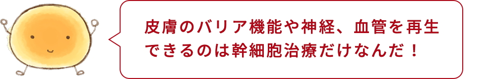 細胞くん「皮膚のバリア機能や神経、血管を再生できるのは幹細胞治療だけなんだ！」